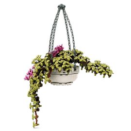 Blocs de construction de bricolage, 289 pièces, plante d'araignée artificielle MOC, Bouquet, bonsaï, petites particules