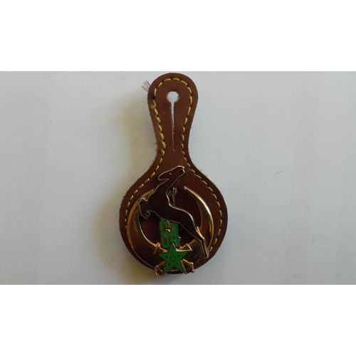 Insigne " Pucelle " 64e Ra, Régiment D'artillerie