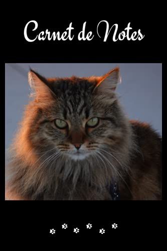 Carnet De Notes: Chat Sibérien. Joli Cahier De 100 Pages Lignées Numérotées Avec Sommaire Au Format 6x9. Cadeau Idéal Pour Un Anniversaire, Noël