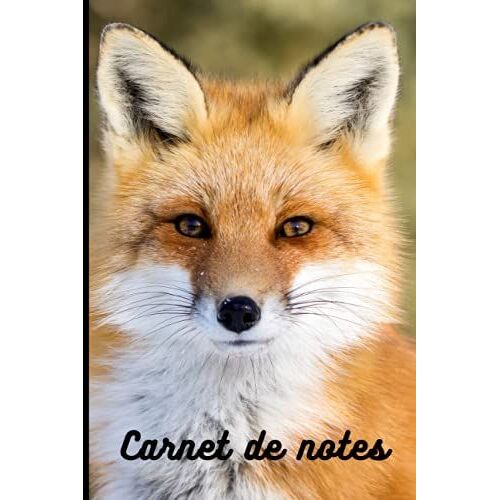 Carnet De Notes: Renard Cahier De Brouillon Petit Format Pas Cher 100 Pages Lign©Es Couverture Souple Pour Les Amoureux Des Animaux Ecole College ... Cadeau Anniversaire Original Femme Homme