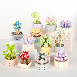 Mini Blocs De Construction En Plastique, Bords Lisses, Capacité D'imagination Spatiale, Plante Succulente En Pot, Cadeau D'anniversaire, 1 Ensemble