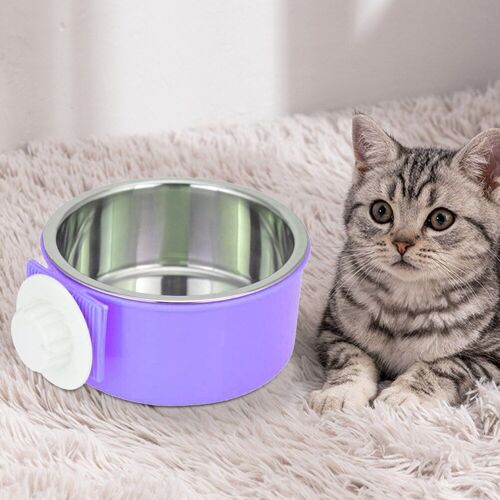 Bol À Cage Fixe Amovible En Acier Inoxydable, Bol D'eau Potable Pour Animaux De Compagnie, Cage Facile À Nettoyer, Bol D'alimentation Pour Animaux De Compagnie