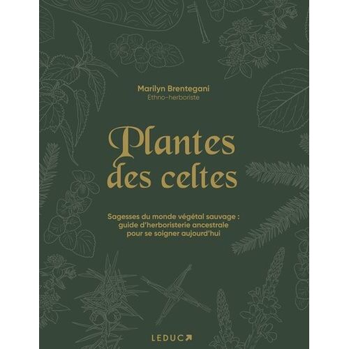 Plantes Des Celtes - Sagesses Du Monde Végétal Sauvage : Guide D'herboristerie Ancestrale Pour Se Soigner Aujourd'hui