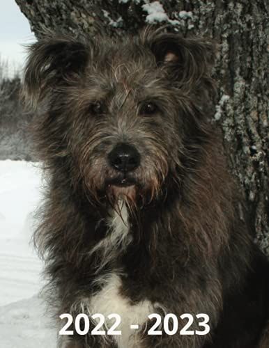 2022 2023: Large Monthly Calendar Planner, Mixed Breed Dog