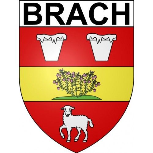 Brach 33 Ville Stickers Blason Autocollant Adhésif - 12 Cm