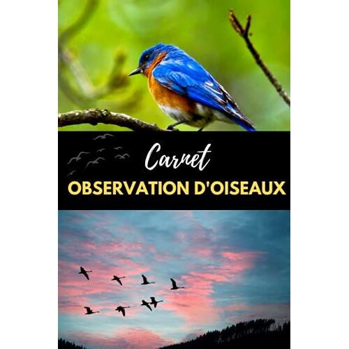 Carnet Observation D'oiseaux: Journal De Bord Pour Comptage Et Observation Des Oiseaux | Observation Ornithologique | Noter Les Espces Et Les Rpertorier