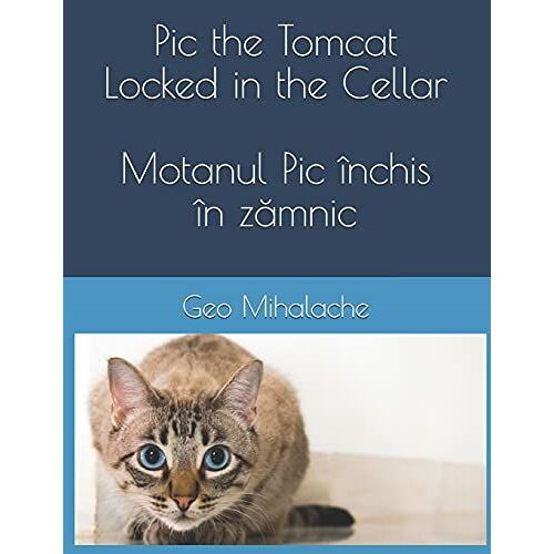 Pic The Tomcat Locked In The Cellar - Motanul Pic Închis În Zmnic: Poveste Bilingv Englez Româna Pentru Copii / English Romanian Story For Children (Stories For Vlad - Poveti Pentru Vlad)