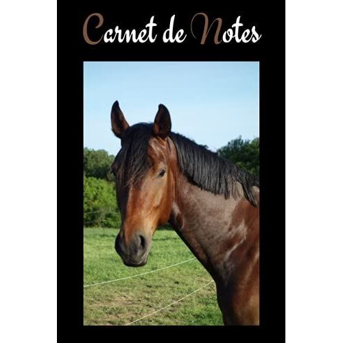 Carnet De Notes: Cheval Warmblood. Joli Cahier De 100 Pages Lignées Numérotées Avec Sommaire Au Format 6x9. Cadeau Idéal Pour Un Anniversaire, Pour Noël
