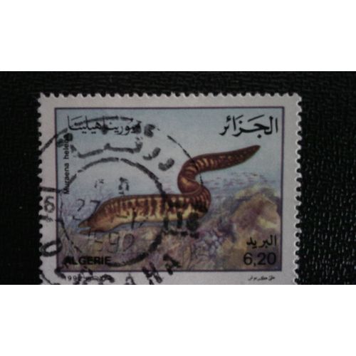 Timbre Algerie Yt 1031 1992 Murène Méditerranéen (Muraena Helena)
