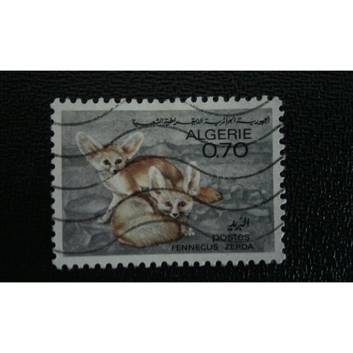 Timbre Algerie Yt 450 1967 Fennek (Fennecus Zerda)