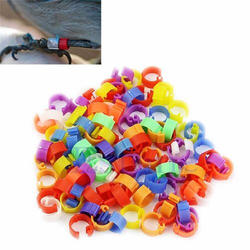 Anneaux De Patte De Pigeon, 100 Pièces, Accessoires Pour Oiseaux, Poule, Pigeon, Volaille, Colombe, Poussins, Canard, Perroquet, Bande, Anneau De Pied, Fournitures Pour Pigeons, S27