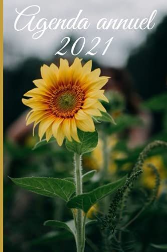 Agenda Annuel 2021: Calendrier Annuel A5 Journalier Franais