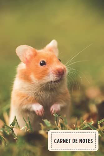 Carnet De Notes: Cahier Cadeau Pour Les Amoureux Des Hamster - Un Cahier Unique Pour ©Crire Les Notes Avec Une Couverture Mignonnes - 6 X 9 Pouces - 110 Pages - Carnet De Notes Hamster