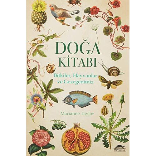 Doga Kitabi