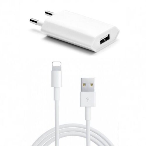Adaptateur Chargeur Prise Secteur 1a + Câble Usb 1 Mêtre Pour Iphone 10
