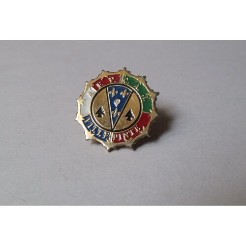 Pin's Apf Cat Centre D'aide Par Le Travail De Villepinte (Blason Villepinte)