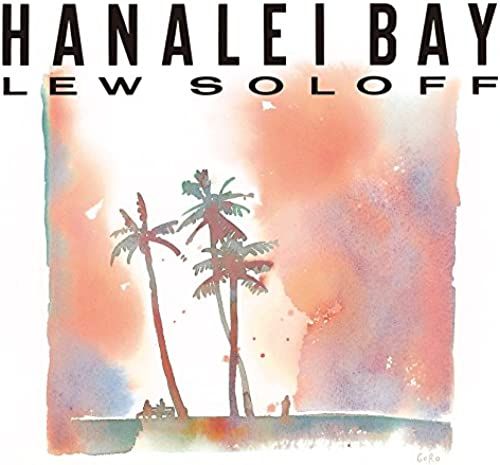 Hanalei Bay