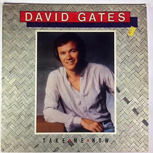 Take Me Now [Lp Vinyl]
