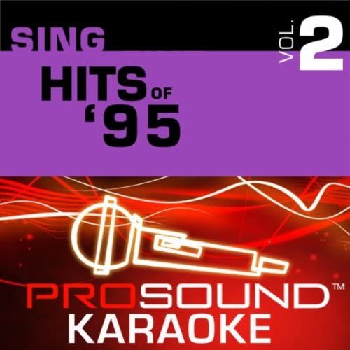 Sing-A-Long-Vol. 2, Sing Hits Of 95 [Karaoke]