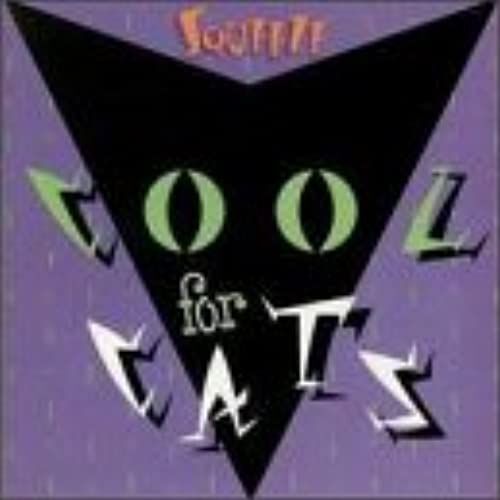 Cool For Cats