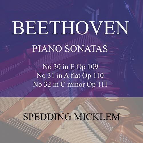 Beethoven Piano Sonatas