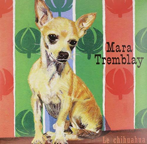 Le Chihuahua [Analog]