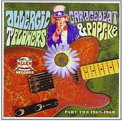 Allergic To Flowers: Garage Beat And Popsike