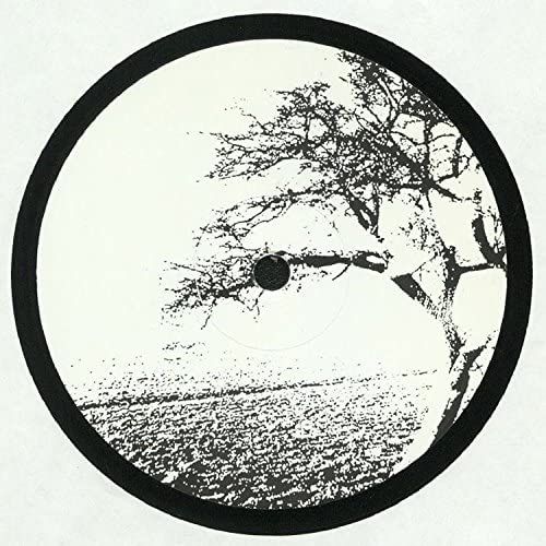 Open Door [12inch] [Analog]