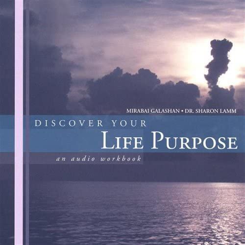 Discover Your Life Purpose : An Audio Workbook