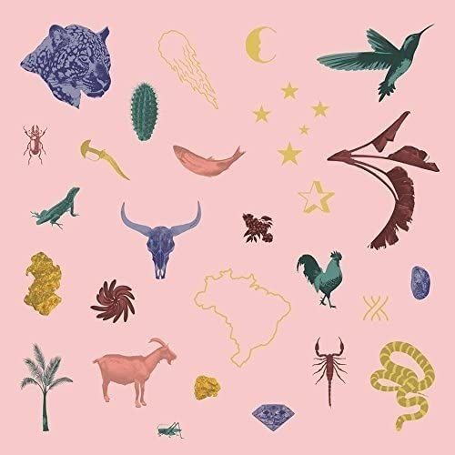 As Cancoes De Ze Manoel: Delirio De Um Romance A