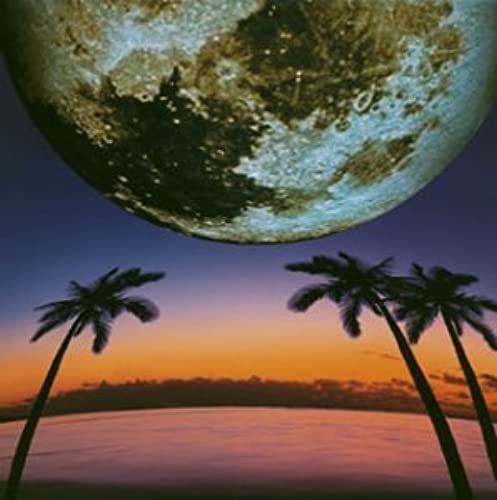 Moon Risin