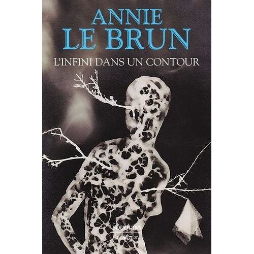 L'infini Dans Un Contour