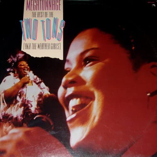 Megatonnage: The Best Of Two Tons [Vinyl]