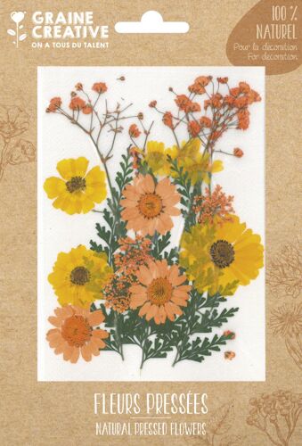 Fleurs Pressées Prairie Jaune 18 Pièces