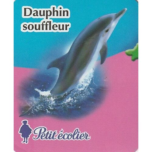 Magnet Petit Ecolier - Dauphin Souffleur