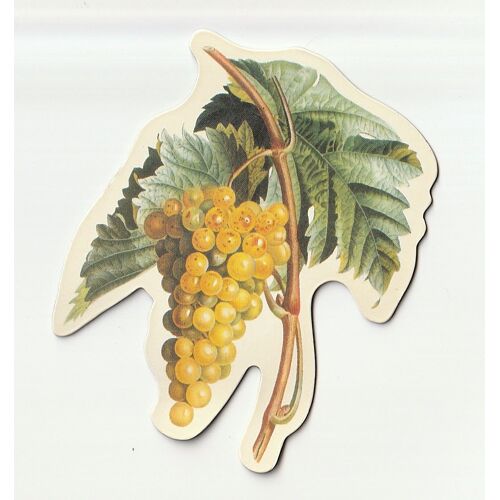 Magnet Fruits & Legumes - Gift - Raisins