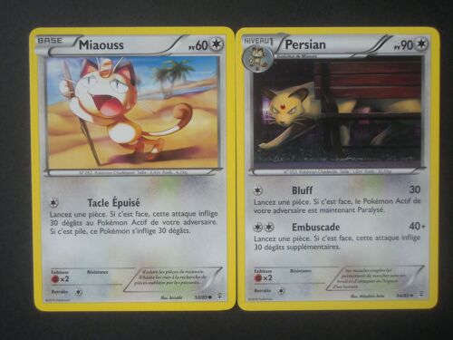 Générations - Miaouss (53) + Persian (54/83)