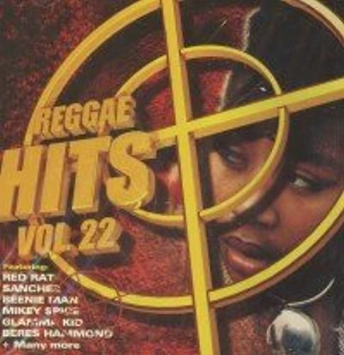 Reggae Hits In The Mix V.22