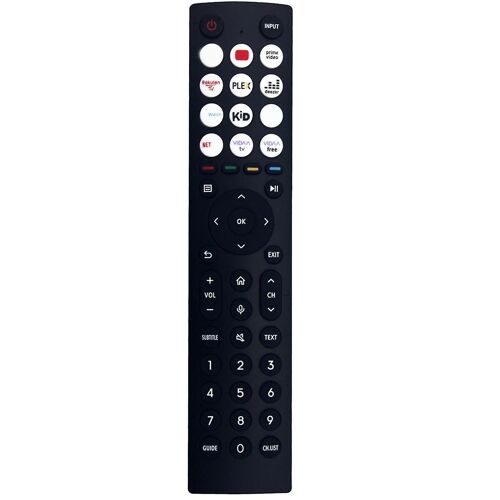 Télécommande ERF3A86 de remplacement pour télécommande TV LCD LED intelligente Pas de voix