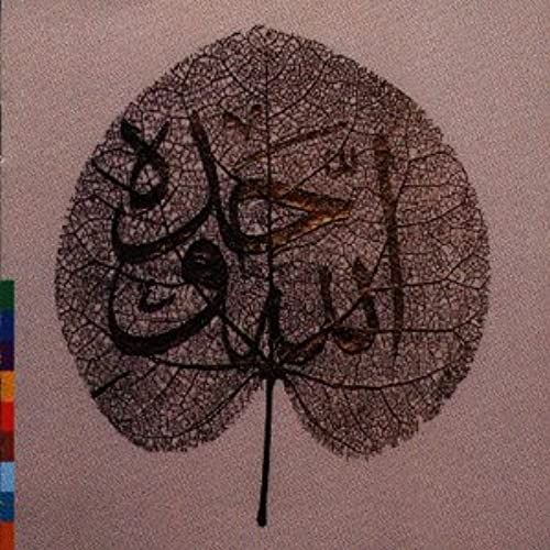 Ya Habib