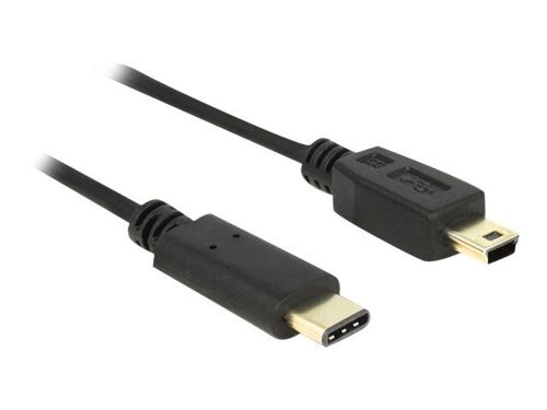 Delock - Câble USB - 24 pin USB-C (M) pour mini-USB de type B (M) - USB 2.0 - 500 mA - 2 m - noir