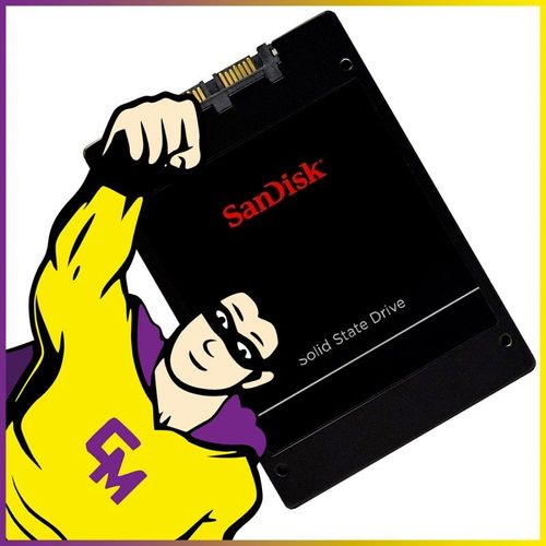 SSD 256 Go 2.5" SanDisk SDSSDP-256G SATA 6Gbps