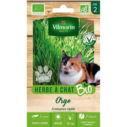 Vilmorin - Herbe A Chat Bio Gm Vl 2 Amistar