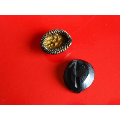2 Boutons Anciens Forme Irrégulière