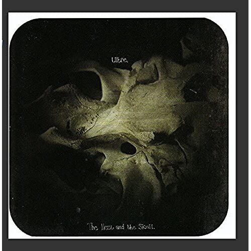 The Nest And The Skull