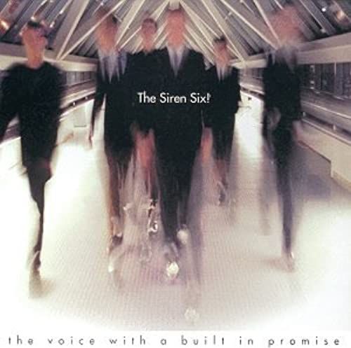 Voice With A Built In Promise