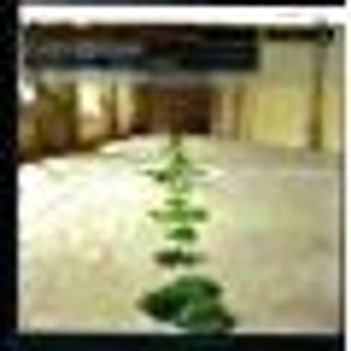 Selva Morale E Spirituale