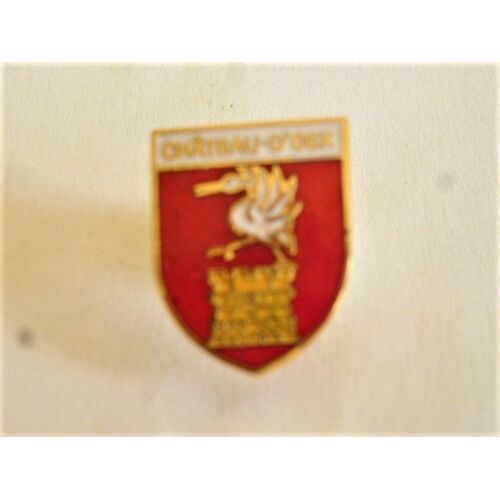 Pins Ville Château D'oex Suisse Canton De Vaud /Blason Armoiries