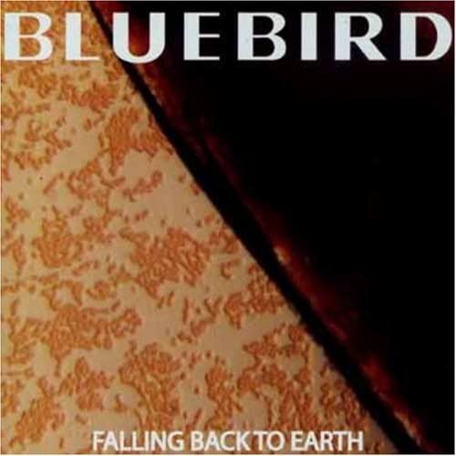 Falling Back To Earth Ep