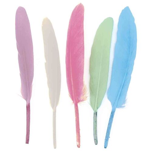 Plumes Indiennes Pastel 7 À 15 Cm 120 Pièces
